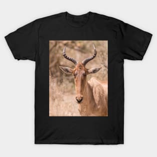 Hartebeest T-Shirt